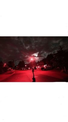 nightonixg's profile picture. just a girl who has no life