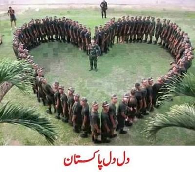 Miansaif13's profile picture. 