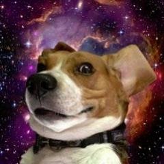 spacedog_gaming's profile picture. haha yooooooo