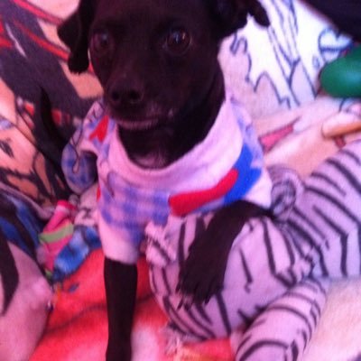 jaelitatij's profile picture. Fragil, romantica, tierna , intensa. enamorada de la vida y de mi MUNDO !! distraida, pensamientos profundos y sinceros.. studiante de MEDICINA !!! :)