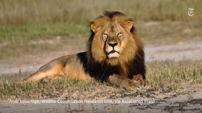 charlliejimmie's profile picture. 