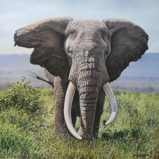 Glampers is a Tour Operating company focusing on tours and safaris with luxury tented accommodation (in other words glamping) in Southern Africa.