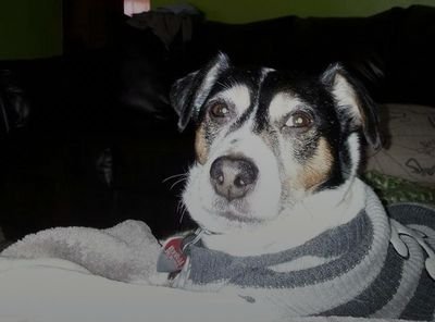 ab8798a860c945c's profile picture. 