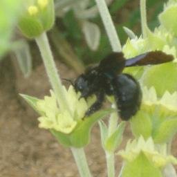 katsampekis1971's profile picture. 