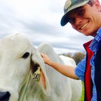 Valusek (@d_valusek) 's Twitter Profile