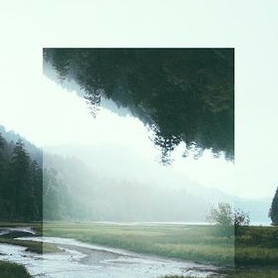 nnereel's profile picture. 