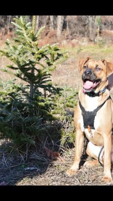 Jackson_Fzx's profile picture. 