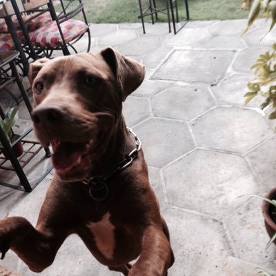 erreone's profile picture. 