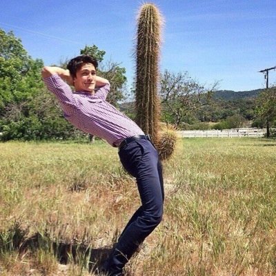 orangepengin101's profile picture. ケツにホクロがあります