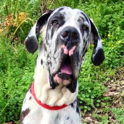 juliotov's profile picture. Disfrutar, compartir, aprender, divulgar, leer.... arte, ciencia, tecnología, animales, política.... intentando comprender el mundo