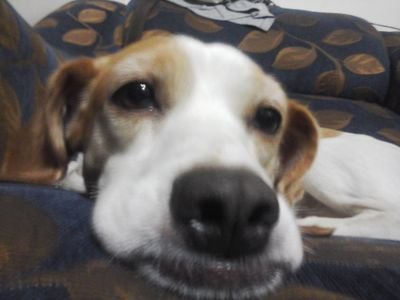 erwincamargo7's profile picture. 