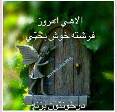 SSPizX5NADHlm1k's profile picture. 