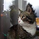 Emily Ringo - @emilyringo - Twitter