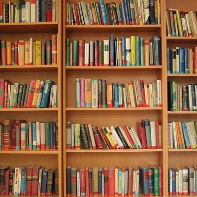 harrietdianefox's profile picture. 