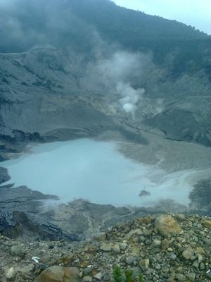 kalodod's profile picture. 