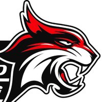 New England Wildcats (@negirlshockey) 's Twitter Profile