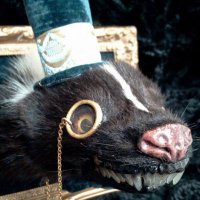 Jo Organ (@monocledbadger) 's Twitter Profile Photo Jo Organ (@monocledbadger) 's Twitter Profile Photo