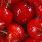 wetcandy_2008's profile picture. 