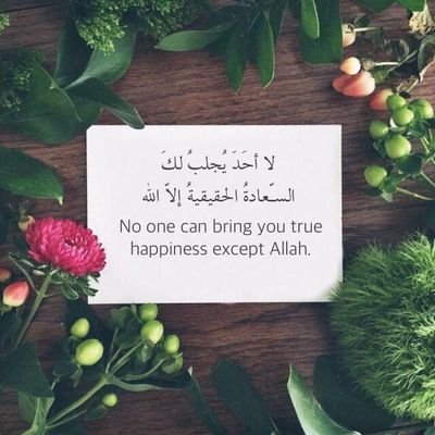 frarecss's profile picture. اللهم يا جبار السماوات والأرض اجبر كسري
