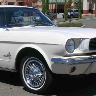 jennifer66tang's profile picture. 