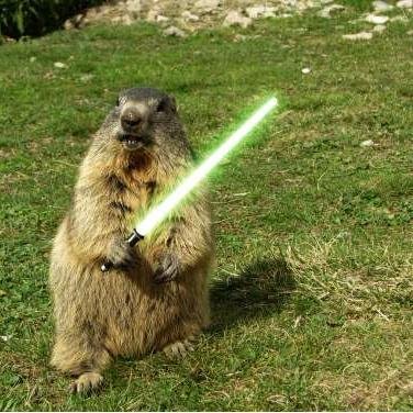 Marmota por convicción, adicta al meme, crítica y analista. En la vida real: profesional, ama de casa, emprendedora. Incomprendida. Me sigues y te sigo 👍😊