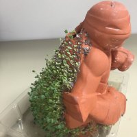 Andy's Chia pet (@andyschiapet) 's Twitter Profile