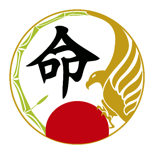 Organizacion dedicada a practicar, enseñar y difundir el karate do como formacion integral para la familia