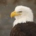 ❌(((Douglas B.))) 🇺🇸 (@dbrin62) Twitter profile photo ❌(((Douglas B.))) 🇺🇸 (@dbrin62) Twitter profile photo