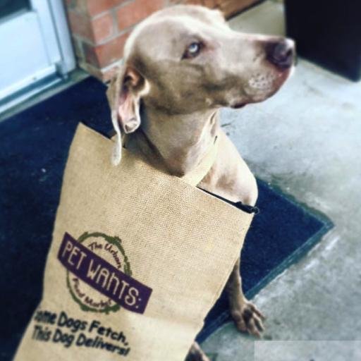 PetWantsCLT's profile picture. Small Batch, FRESH, Natural Pet Food! Made monthly, no fillers or gluten. Visit our SouthEnd shop M-S 9-7 | Sun 11-5 or order online w/ free local delivery.