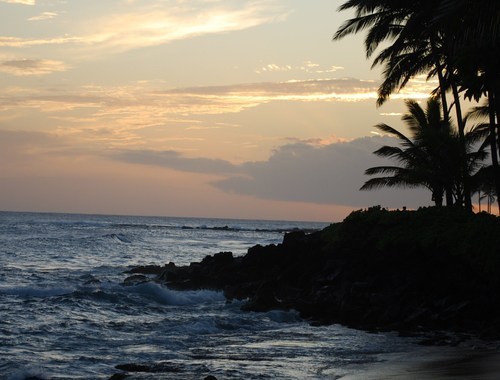 debmoler's profile picture. Friend of an Ocean Rower-World's toughest job!