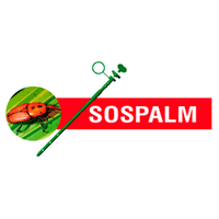 SOSPALM (@sospalm_) 's Twitter Profile Photo SOSPALM (@sospalm_) 's Twitter Profile Photo