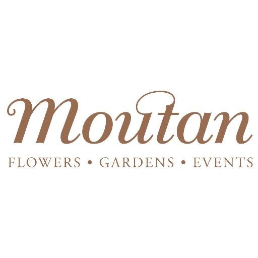 Flowers, Gardens, Events, Home - We're passionate about flowers and plants; event, hotel, corporate and home styling.