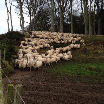 johnny400's profile picture. 