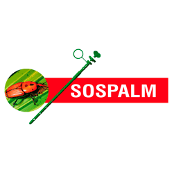 SOSPalm_Intl Profile Picture