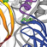 Heliobio (@heliobio_soleil) 's Twitter Profile