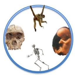 BABAO_2016's profile picture. 