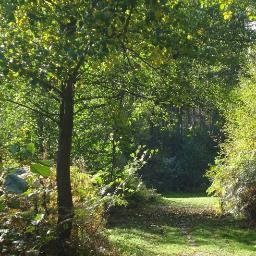 WisdomTreeblog's profile picture. 