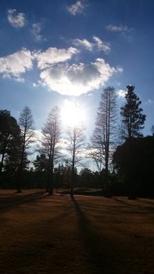 nabenabe551's profile picture. 関西住まいのライオンズファンです 野球全般好きです！無言フォローすいません。