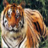 chiranthram's profile image