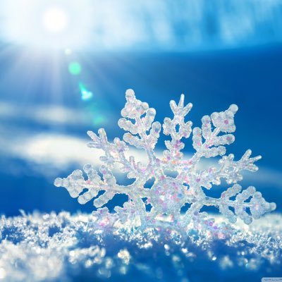 Willoughbym71's profile picture. 