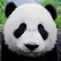 ZGReport (@zgreport) 's Twitter Profile