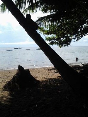 Www.Honeybeehostel@gmail.com +63 9107126496
come stay with us only 2 mins walk to the beach for only 450 php per night