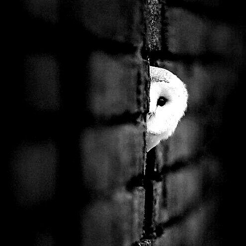 zze1980's profile picture. 因您三观不正，该内容无法显示，如有其它疑问，请联系管理员！