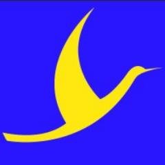 freeflyover's profile picture. 