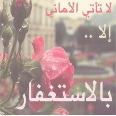 179Amamal's profile picture. 