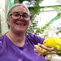 Susan Macdonald (@writermacdonald) 's Twitter Profile