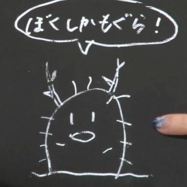 ふかひれさんのプロフィール画像