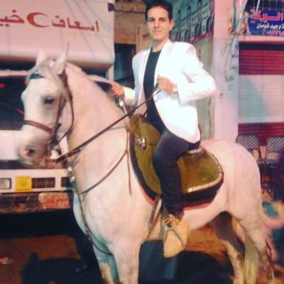 SafwatAgina's profile picture. 