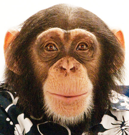 ChucklesDarwin's profile picture. English Naturalist. Created award winning video:Theory of the Evolution of Color Management. Visit my alter ego artist John Nordell http://t.co/dPAZC8do