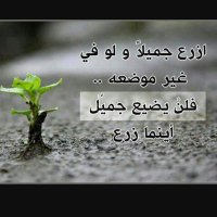 احاديث نبويه (@ahadethnbowiah) Twitter profile photo
